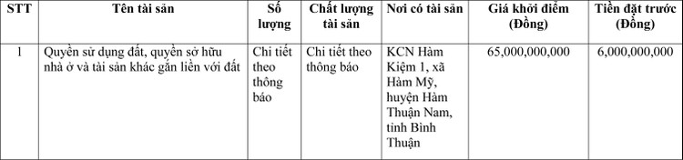 Ngày 29/4/2022, đấu giá quyền sử dụng đất tại huyện Hàm Thuận Nam, tỉnh Bình Thuận ảnh 1