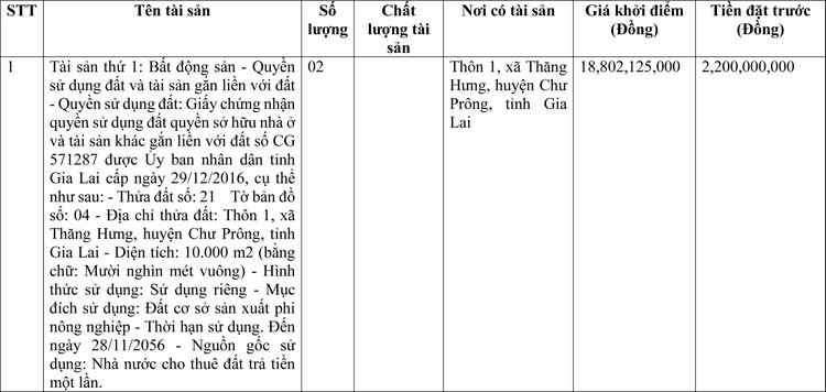 Ngày 20/5/2022, đấu giá quyền sử dụng đất tại huyện Chư Prông, tỉnh Gia Lai ảnh 1