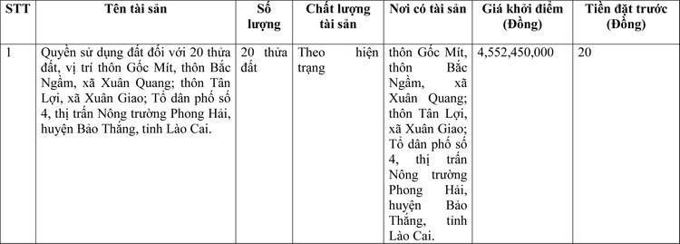 Ngày 19/5/2022, đấu giá quyền sử dụng đất tại huyện Bảo Thắng, tỉnh Lào Cai ảnh 1