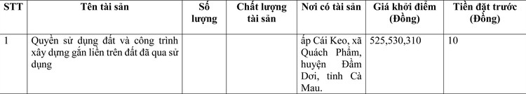 Ngày 27/5/2022, đấu giá quyền sử dụng đất tại huyện Đầm Dơi, tỉnh Cà Mau ảnh 1