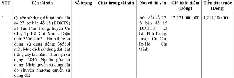 Ngày 18/5/2022, đấu giá quyền sử dụng đất tại huyện Củ Chi, Tp.Hồ Chí Minh ảnh 1