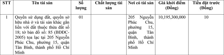 Ngày 9/6/2022, đấu giá quyền sử dụng đất tại quận Tân Bình, thành phố Hồ Chí Minh ảnh 1