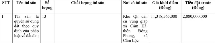Ngày 10/6/2022, đấu giá quyền sử dụng đất tại huyện Cẩm Xuyên, tỉnh Hà Tĩnh ảnh 1