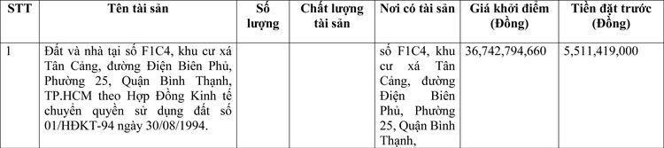 Ngày 6/6/2022, đấu giá quyền sử dụng đất tại quận Bình Thạnh, TP.HCM ảnh 1