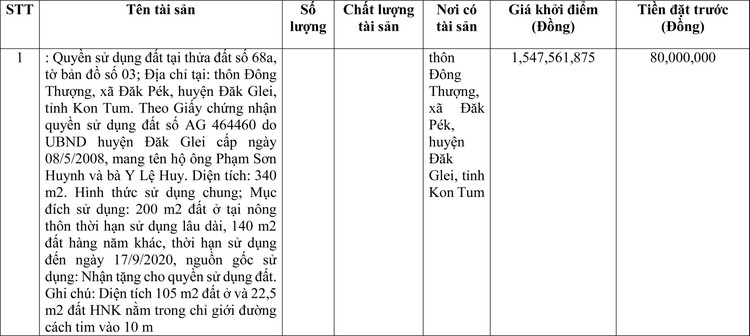Ngày 13/6/2022, đấu giá quyền sử dụng đất tại huyện Đăk Glei, tỉnh Kon Tum ảnh 1