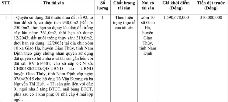 Ngày 13/6/2022, đấu giá quyền sử dụng đất tại huyện Giao Thủy, tỉnh Nam Định ảnh 1