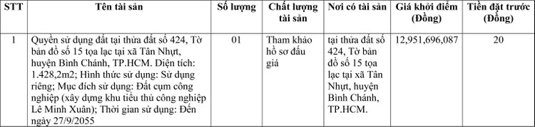 Ngày 6/6/2022, đấu giá quyền sử dụng đất tại huyện Bình Chánh, TP.HCM ảnh 1