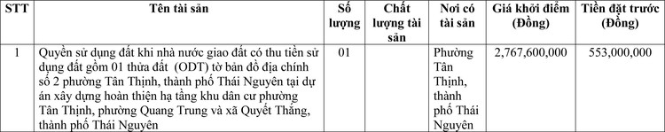 Ngày 2/6/2022, đấu giá quyền sử dụng đất tại thành phố Thái Nguyên, tỉnh Thái Nguyên ảnh 1