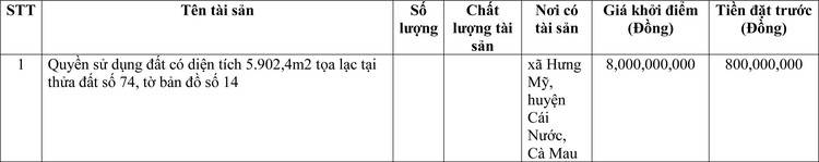 Ngày 3/6/2022, đấu giá quyền sử dụng đất tại huyện Cái Nước, tỉnh Cà Mau ảnh 1