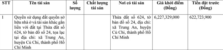 Ngày 9/6/2022, đấu giá quyền sử dụng đất tại huyện Củ Chi, thành phố Hồ Chí Minh ảnh 1