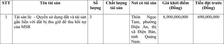 Ngày 9/6/2022, đấu giá quyền sử dụng đất tại thị xã Điện Bàn, tỉnh Quảng Nam ảnh 1