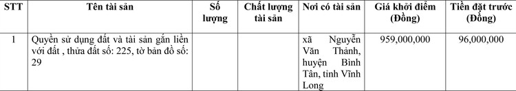Ngày 13/6/2022, đấu giá quyền sử dụng đất tại huyện Bình Tân, tỉnh Vĩnh Long ảnh 1