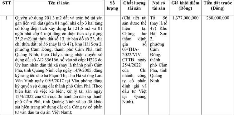 Ngày 9/6/2022, đấu giá quyền sử dụng đất tại thành phố Cẩm Phả, tỉnh Quảng Ninh ảnh 1
