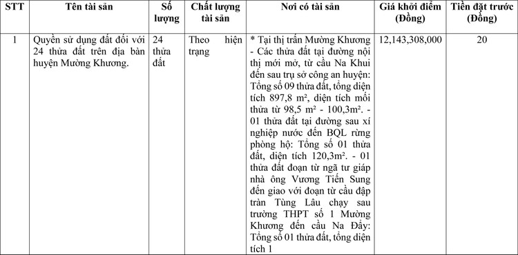 Ngày 16/6/2022, đấu giá quyền sử dụng đất tại huyện Mường Khương, tỉnh Lào Cai ảnh 1