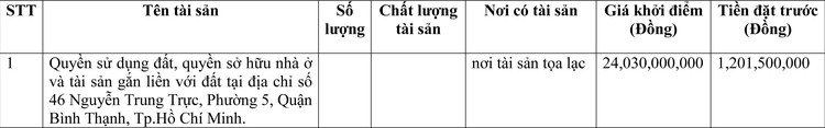 Ngày 9/6/2022, đấu giá quyền sử dụng đất tại quận Bình Thạnh, Tp.Hồ Chí Minh ảnh 1