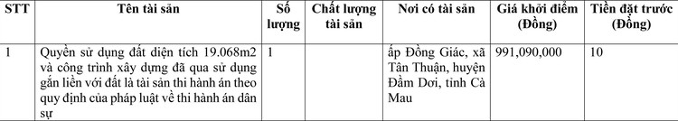 Ngày 17/6/2022, đấu giá quyền sử dụng đất tại huyện Đầm Dơi, tỉnh Cà Mau ảnh 1