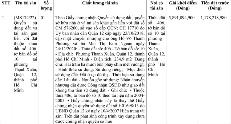 Ngày 10/6/2022, đấu giá quyền sử dụng đất tại Quận 12, thành phố Hồ Chí Minh ảnh 1