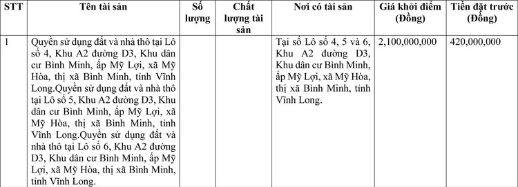 Ngày 10/6/2022, đấu giá quyền sử dụng đất tại thị xã Bình Minh, tỉnh Vĩnh Long ảnh 1