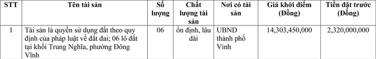 Ngày 20/6/2022, đấu giá quyền sử dụng đất tại thành phố Vinh, tỉnh Nghệ An ảnh 1