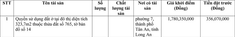Ngày 21/6/2022, đấu giá quyền sử dụng đất tại thành phố Tân An, tỉnh Long An ảnh 1
