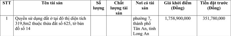 Ngày 21/6/2022, đấu giá quyền sử dụng đất tại thành phố Tân An, tỉnh Long An ảnh 1