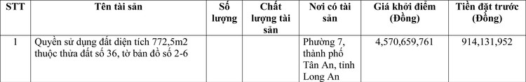 Ngày 23/6/2022, đấu giá quyền sử dụng đất tại thành phố Tân An, tỉnh Long An ảnh 1