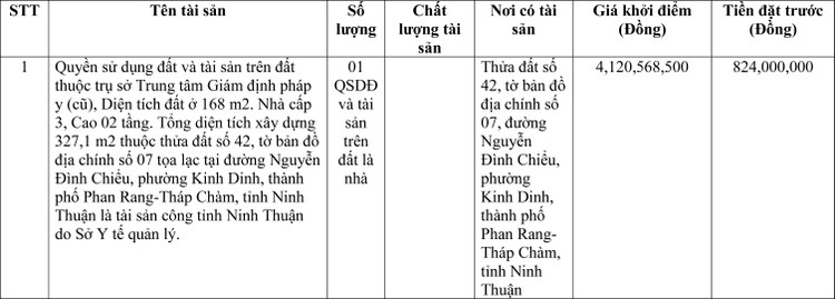 Ngày 24/6/2022, đấu giá quyền sử dụng đất tại thành phố Phan Rang-Tháp Chàm, tỉnh Ninh Thuận ảnh 1