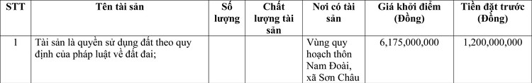 Ngày 24/6/2022, đấu giá quyền sử dụng đất tại huyện Hương Sơn, tỉnh Hà Tĩnh ảnh 1