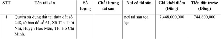 Ngày 20/6/2022, đấu giá quyền sử dụng đất tại huyện Hóc Môn, TP.HCM ảnh 1