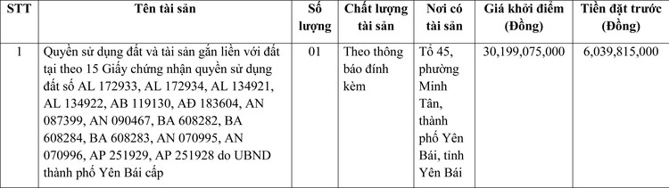 Ngày 17/6/2022, đấu giá quyền sử dụng đất tại thành phố Yên Bái, tỉnh Yên Bái ảnh 1