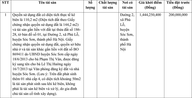 Ngày 1/7/2022, đấu giá quyền sử dụng đất tại huyện Sóc Sơn, TP Hà Nội ảnh 1