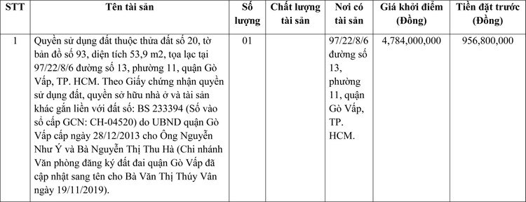 Ngày 20/6/2022, đấu giá quyền sử dụng đất tại quận Gò Vấp, TP. HCM ảnh 1