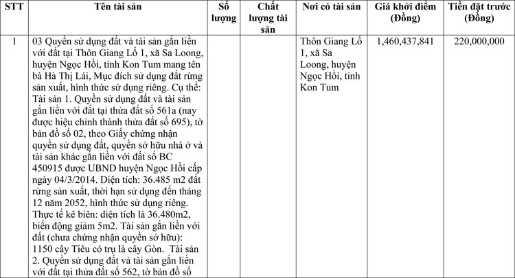Ngày 15/7/2022, đấu giá quyền sử dụng đất tại huyện Ngọc Hồi, tỉnh Kon Tum ảnh 1