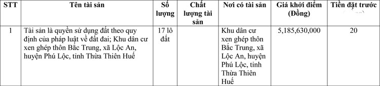 Ngày 30/6/2022, đấu giá quyền sử dụng đất tại huyện Phú Lộc, tỉnh Thừa Thiên Huế ảnh 1