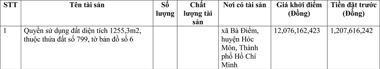 Ngày 30/6/2022, đấu giá quyền sử dụng đất tại huyện Hóc Môn, Thành phố Hồ Chí Minh ảnh 1