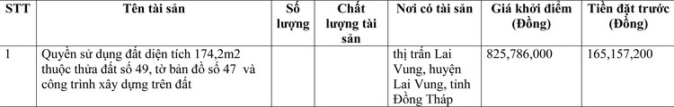 Ngày 7/7/2022, đấu giá quyền sử dụng đất tại huyện Lai Vung, tỉnh Đồng Tháp ảnh 1