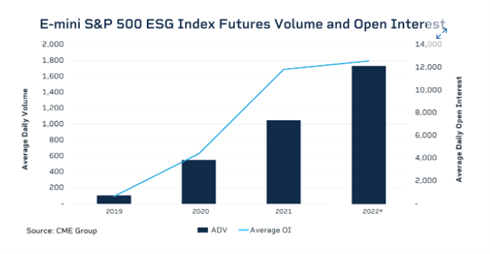 Đầu tư ESG: Thế giới đang sôi sục, nhà đầu tư Việt đã hiểu đến đâu? ảnh 4