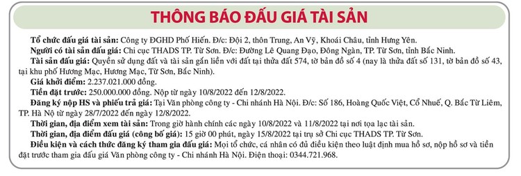 Ngày 15/8/2022, đấu giá quyền sử dụng đất tại TP. Từ Sơn, tỉnh Bắc Ninh ảnh 1