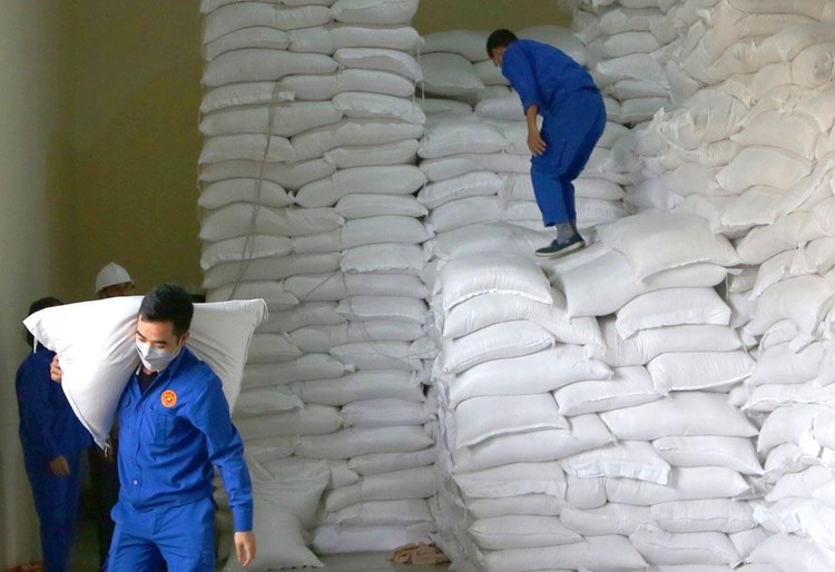 6 gói thầu cung cấp gạo nhập kho dự trữ quốc gia do Cục Dự trữ Nhà nước khu vực Đông Nam Bộ mời thầu có tổng giá gói thầu hơn 74,4 tỷ đồng. Ảnh: Gia Bảo